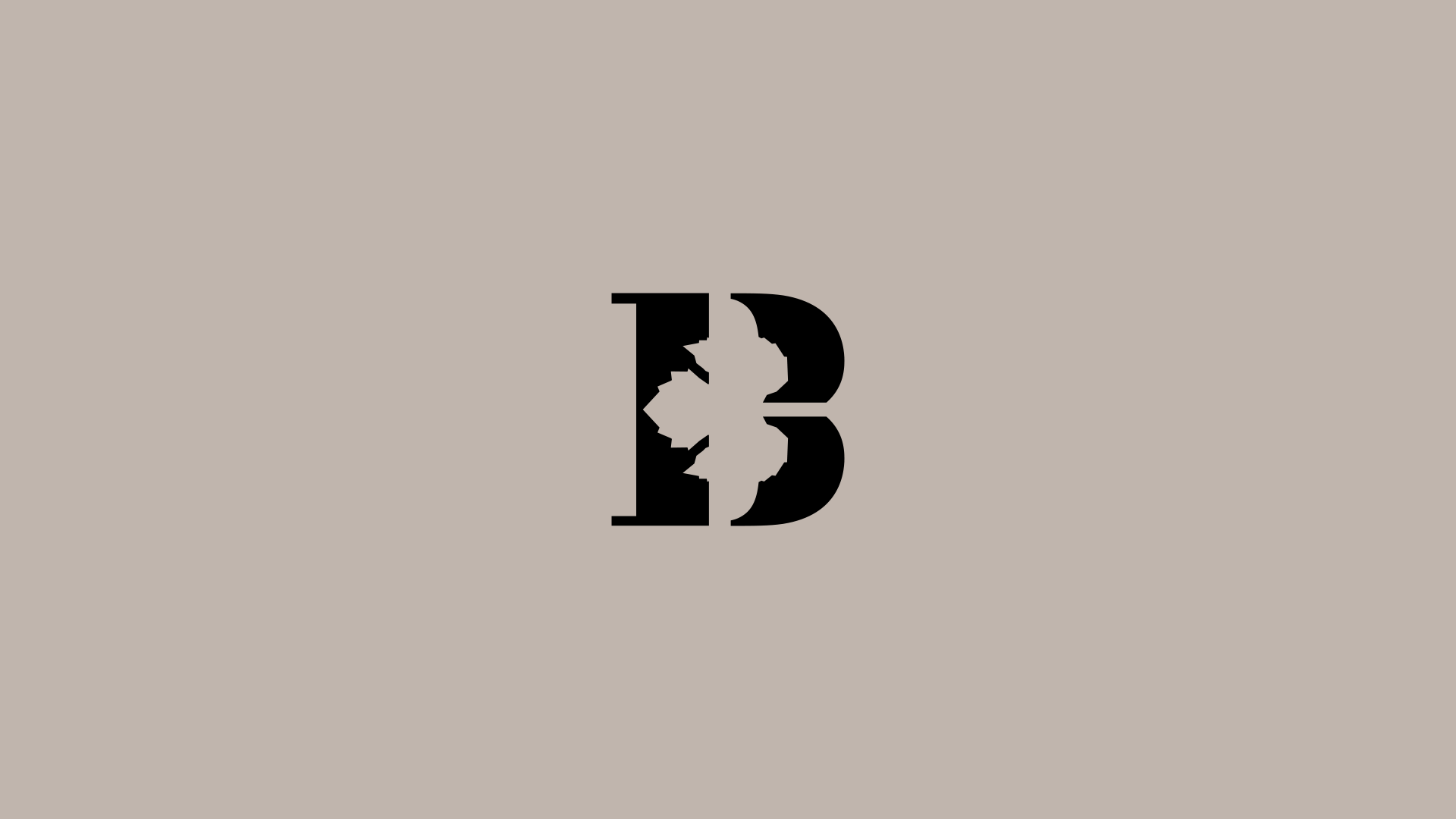 bruniere_augustin_fournier_graphiste_32